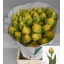 product/img.floraplaza.nl/129402-LIVE_fotos-0xC4D82DBD524E85CF4E2EE0A45A87687307212826.jpg