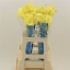 product/img.floraplaza.nl/129406-55-LIVE_fotos-0xB7D900F0D52E3C4D55B8B2EA31F988675075AAD0.jpg