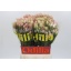 product/img.floraplaza.nl/129564-50-LIVE_fotos-0xF6EB79A05CADDD91F46B80205A377B595D4E6A21.jpg