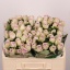 product/img.floraplaza.nl/129654-50-LIVE_fotos-0xA0187E4D2F0CC825B92DAA67CA8866043DA4F793.jpg