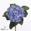 product/img.floraplaza.nl/129902-80-ART_fotos-VBN-vbn129902.jpg