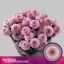 product/img.floraplaza.nl/129909-70-LIVE_fotos-0x8583F3248F24A1C79AF82B722A8700B868CF757F.jpg