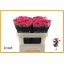 product/img.floraplaza.nl/12992-70-LIVE_fotos-0x567492258A34B06AFE6ED923F931D4E8B079ABAB.jpg