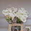 product/img.floraplaza.nl/129958-60-LIVE_fotos-0x9B5D4ED6EB5923BC387A138B1953D3BD482B2F64.jpg