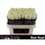 product/img.floraplaza.nl/130230-70-LIVE_fotos-0xD607EDF4399554D9CE6263379D9A08DE76DABBAC.jpg