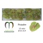 product/img.floraplaza.nl/13024-50-LIVE_fotos-0xA2D46CA90EABC0AB81DAFA8CD851903841DCE4BD.jpg