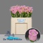 product/img.floraplaza.nl/130315-50-LIVE_fotos-0x1176DA7A68D87FCA1623D1EEC1D3BA2EA904B018.jpg