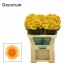 product/img.floraplaza.nl/130349-70-LIVE_fotos-0xC03A3BDE012C1FDA62D7DE69BBAC20BCBFE9AD46.jpg