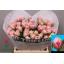 product/img.floraplaza.nl/130585-LIVE_fotos-0x9E86CABEE8164B13CA4EDF824DEE8BE6773AE648.jpg