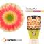 product/img.floraplaza.nl/130771-50-LIVE_fotos-0x962C2DA5AFE49798E5351B7267893DB0223C17EB.jpg