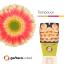 product/img.floraplaza.nl/130771-50-LIVE_fotos-0xCBA12F51F3B81AD8AF7D7DF2E45EFD5EE05E24C9.jpg
