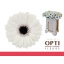 product/img.floraplaza.nl/130862-50-LIVE_fotos-0x795BFC67EE8EEA3E9067893E4C85F58AC7B4A702.jpg