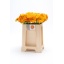 product/img.floraplaza.nl/131107-50-LIVE_fotos-0xD3518B113D257636546438E55453FBFADD5FB242.jpg