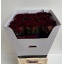 product/img.floraplaza.nl/131779-80-LIVE_fotos-0xB5771A1F1BD3065FB9D0FF66B0A99876D0492ED0.jpg