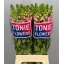 product/img.floraplaza.nl/132187-70-LIVE_fotos-0x5B0C1F3CB42CBD6BEDD9FF68A9E4521CA8C39ECD.jpg