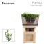 product/img.floraplaza.nl/132356-75-LIVE_fotos-0xACCD31350D4D5B2A2108375CE742AB09B1ECF40F.jpg