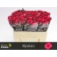 product/img.floraplaza.nl/132595-50-LIVE_fotos-0xE66248D09EB5FF482150174F7927DB04CCA8BF90.jpg