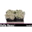 product/img.floraplaza.nl/132620-50-LIVE_fotos-0x0007DEF26AFC7B8862EB74ED8F41D6A7D7DF22EA.jpg