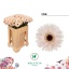product/img.floraplaza.nl/132933-50-LIVE_fotos-0xD12BF81C1114E49580BB98EA1389A481FB9D6221.jpg