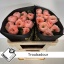 product/img.floraplaza.nl/133168-50-LIVE_fotos-0x15F6DF3D16706FD2A6C97AA8CF4BA2AB6880B9AF.jpg
