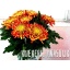 product/img.floraplaza.nl/1378-85-LIVE_fotos-0x2C0A1B86DD48C7827EDC2293E1C964BCFF2F16F5.jpg