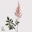 product/img.floraplaza.nl/1395-65-ART_Fotos-VBN-vbn1395.jpg