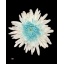 product/img.floraplaza.nl/14554-70-LIVE_fotos-0x5CB012BBF33B29DB3DBDF0CBE1995279F25BF9C9.jpg