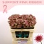 product/img.floraplaza.nl/14751-50-ASSORTI_fotos-MVA-Pink Ribbon 2023-PR Marginpar - Astrantia Roma.jpg