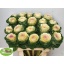 product/img.floraplaza.nl/15155-60-LIVE_fotos-0x1343BB9D94FC8598B7DCB1135A6C4AD6A8CF92C7.jpg