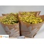 product/img.floraplaza.nl/15180-60-LIVE_fotos-0x09CE85DF662A84C1B39BC6A55F4AACBA242E84A8.jpg