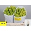product/img.floraplaza.nl/1595-LIVE_fotos-0xC6636E3BD0DDEEAB6EA42F22CCCDC222A72934F5.jpg