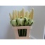 product/img.floraplaza.nl/16138-80-LIVE_fotos-0xCD81D12C4F00F92A7DA3077D1CD5A05CA9926CA9.jpg