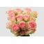 product/img.floraplaza.nl/17126-70-LIVE_fotos-0x2EB4DC6EFA7D7FBFE1C276ABD871E525C575245B.jpg