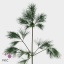 product/img.floraplaza.nl/17408-60-ART_Fotos-VBN-vbn17408.jpg