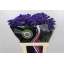 product/img.floraplaza.nl/18027-70-LIVE_fotos-0x66C38B210E480C3E2EEF519DFD33E4B6598ACD1F.jpg