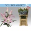 product/img.floraplaza.nl/18565-90-LIVE_fotos-0xD2DE7991F6E6AAF2BEB6F99BF4FB43CA50A55E64.jpg