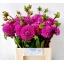 product/img.floraplaza.nl/1860-45-LIVE_fotos-0x32850FC89BDD4AC4DF6745B1E29297BD0D7B50C2.jpg
