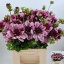 product/img.floraplaza.nl/1860-45-LIVE_fotos-0x75EBA64431B4F152AF6A65B752C718B9B7835A8D.jpg