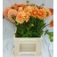 product/img.floraplaza.nl/1860-50-LIVE_fotos-0x5FDA35640EEE0A460DE9DE9FCD7C3C182D6A6A8B.jpg