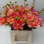 product/img.floraplaza.nl/1860-52-LIVE_fotos-0x277069586AFC226105B6AAE46655E64E095B256B.jpg