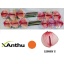 product/img.floraplaza.nl/18633-45-LIVE_fotos-0x74C79293D15FD7B60A3BB8A56A7BD5F1661C20FA.jpg