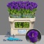 product/img.floraplaza.nl/19311-70-LIVE_fotos-0xE7FC519A95F7A8C10B7E85644360205482406F3D.jpg