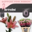 product/img.floraplaza.nl/19497-85-ASSORTI_fotos-MVA-Pink Ribbon 2023-PR Qualily - Lilium la Brindisi.jpg