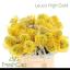 product/img.floraplaza.nl/19668-40-LIVE_fotos-0xED36AE5EE3A5FFBBDFBCD1AEE3A394783CE73FC9.jpg
