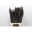 product/img.floraplaza.nl/19738-80-LIVE_fotos-0x2B2C2F2B1E45F60B241C67A0CDE0906AFDA5EB82.jpg