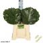 product/img.floraplaza.nl/1981-55-LIVE_fotos-0x018D5506B581B54C9BFB3464D790DEB258813EAB.jpg