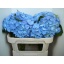 product/img.floraplaza.nl/19868-70-LIVE_fotos-0xBD90E6C6E87C7EB245ECCDBC5232A6CB535CB304.jpg