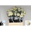 product/img.floraplaza.nl/20941-LIVE_fotos-0xECA54CED8869A20B868B5B30A55DB9D12F86FBEF.jpg