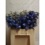 product/img.floraplaza.nl/22024-60-LIVE_fotos-0x270D477E6BAD699AFD2CB7E4F909BA76EE6989C8.jpg