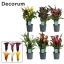 product/img.floraplaza.nl/22050-12-LIVE_fotos-0x4492EBC98A182B4E87DEA025BC938A595EE9AFD8.jpg